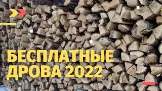 Сбор валежника. Что такое валежник? Можно использовать бензопилу? Что делать если поймала полиция?