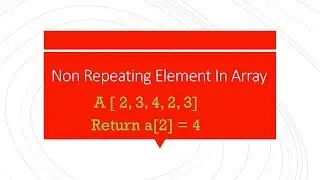 Find Non Repeating Element in Array