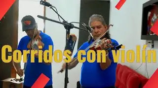 Corridos con violín - Mayo el del rancho - Los Quevedos de Pururaran