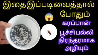 இதை இப்படிவைத்தால் போதும் கரப்பான் பூச்சி பல்லி நிரந்தரமாக அழியும்/cockroach@keerthisaratips5728