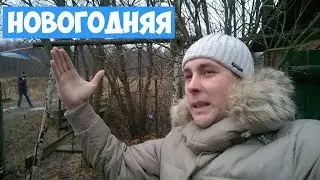 Новогодняя дача.