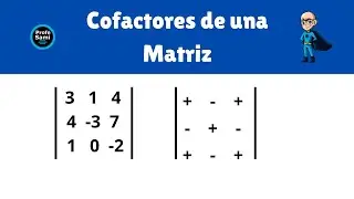 Cofactores de una Matriz 3x3