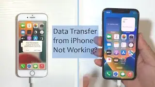 Transfer Directly from iPhone Not Working? 2 Easy Ways to Fix!