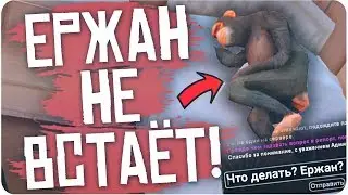 ЕРЖАН В САМПЕ? РЕАКЦИЯ АДМИНОВ НА РЕПОРТ - GTA SAMP