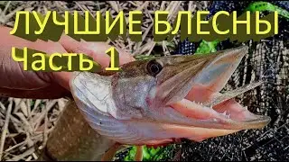 🔥 Лучшие БЛЕСНЫ на ЩУКУ (часть 1). Mepps или Kuusamo? ЩУКА ОЦЕНИЛА, всю рыбалку спиннинг в дугу 🔥