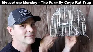 The Farmily Cage Rat Trap & A Skunk Spraying An Opossum. Mousetrap Monday