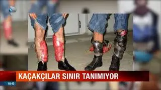Tabutta Uyuşturucu, Direksiyon Simidinde Tabanca, Torpidoda Yavru Köpek