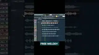 MELODY LOOPS free 987