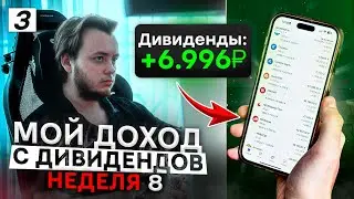 500.000 рублей пассивно за счёт дивидендов / Неделя 8