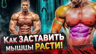 КАК заставить ваши МЫШЦЫ РАСТИ | Мнение науки.