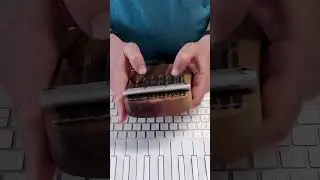 Гей, соколи! Bolf Kalimba + Tracktion Waveform 13 + Arturia Analog Lab V #калимба #kalimba #shorts