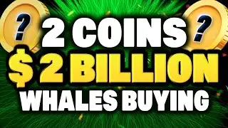 Crypto Whales Are Buying These 2 ALTCOINS