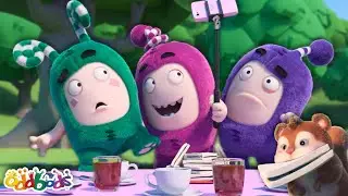 Picnic Pests! 🐿️🧺 | OddBods | Science and Nature Cartoons For Kids| Moonbug Kids