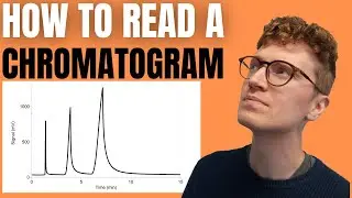 HOW TO READ A CHROMATOGRAM (Step-By-Step Guide For Beginners)