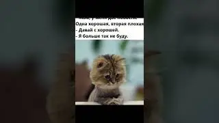 3D Мемы Коты Приколы Лютые приколы Озвучка #Shorts