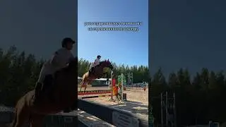 так выглядит конкур 🚀🌪️ #конныйспорт #конкур #лошади