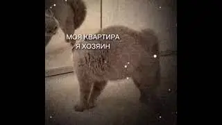 моя квартира я хозяин