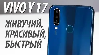 Обзор смартфона Vivo Y17