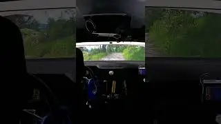 #rally #cesky #krumlov #2024 #onboard