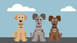 What is DNS?