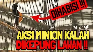 MURAI BATU MINION KALAH❗😱 DIKEPUNG LAWAN🔥TIKET 3,3 JUTA SUPER STAR || PERINGKAT KE 4 ||MEGA PLATINUM