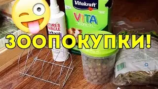 ОТЗЫВ на ЗООТОВАРЫ / ЗООПОКУПКИ / Сено, Корм, Поилка для Морских Свинок