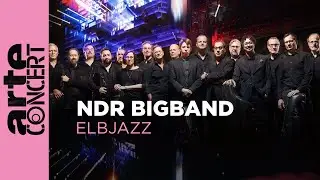 The Bridge : Le Bigband du NDR avec Lenine & Martin Fondse - Elbjazz Festival 2024 - ARTE Concert