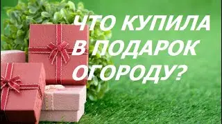 Опять Накупила Разных Подкормок для Растений и Угощения Мышам! Что с Огурцами? Испытываю "Здравень"