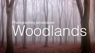 Photographing Landscapes: Woodlands