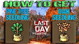 HOW TO GET OAK SEEDLING & PINE TREE SEEDLING - LDOE - Last Day On Earth