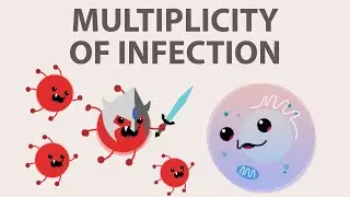 Multiplicity of Infection (MOI): What is it and how do I calculate it?