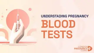 Blood Tests for Pregnancy | Everything You Need to Know