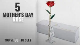 Top 5 Mother's Day Rose [2018]: DeFaith 24K Gold Rose Red for Mother's Day, Made from Real Fresh