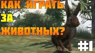 #1 GTA 5 PC - Как Играть За Животных? (Лофофоры)