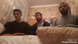 Мавлид