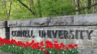 Cornell University. Положение мусульман.