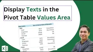 Display Texts in the Pivot Table Values Area Redo