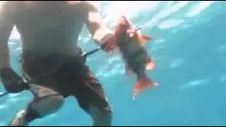 Подвводная охота в море со слингом