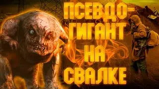 Убил Псевдогиганта на Свалке ☢️ Call of Zone #3