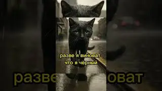 Никто не хотел этого чёрного кота... пока он не...
