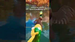 How NOT to Catch a Duck... 