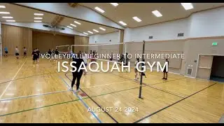 Volleyball Beginner to Intermediate Issaquah Gym August 24 2024