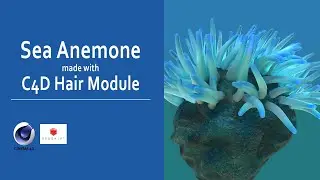 Sea Anemone made with Cinema 4d Hair module tutorial