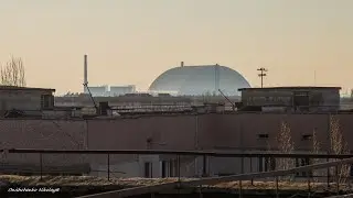 Припять, раннее утро, пение птиц_2