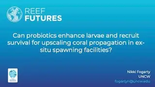 Can probiotics enhance larvae & recruit survival for coral propagation in  spawning facilities?