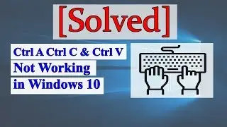 Ctrl A Ctrl C And Ctrl V Not Working in Windows 10 [Solved]