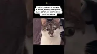 Эти страшные конспекты  