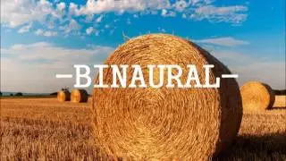 [3D ASMR] Walking trough Straw [Binaural ASMR] 1 Hour - Relaxing / Satisfaction