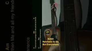 BUSH - Nowhere To Go But Everywhere Guitar Chords cover #shorts