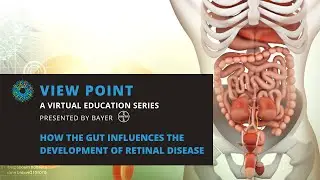 How the Gut Influences the Development of Retinal Disease